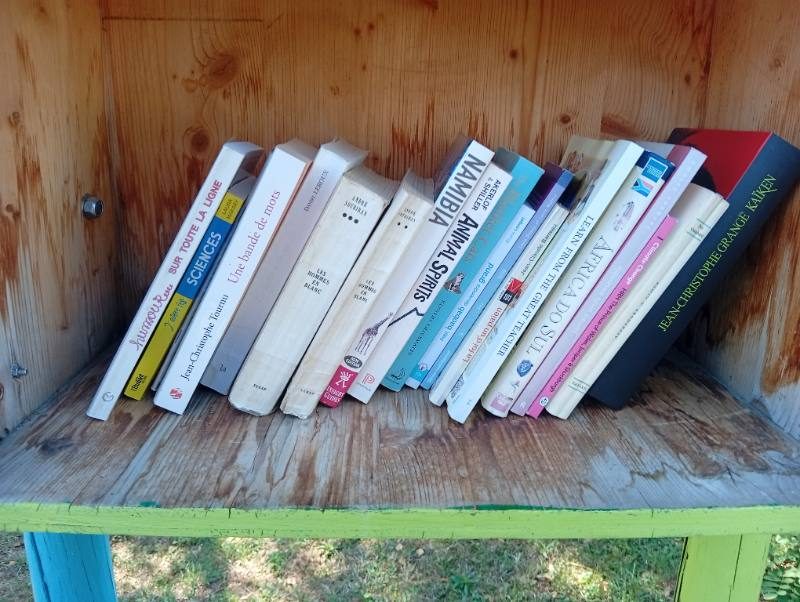 Shelf 2 — Seen 29 d ago