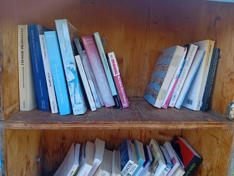 Shelf 1 — Seen 29 d ago